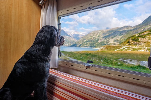 Is je caravan wel goed verzekerd?